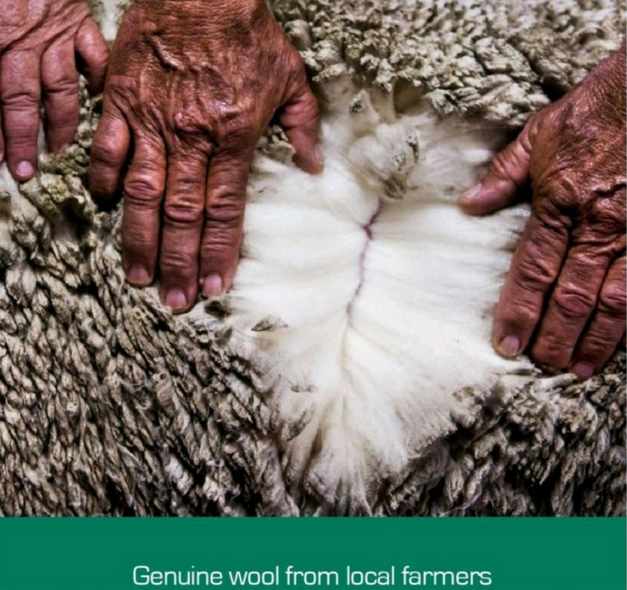 Cặp gối lông cừu Úc 100% nguyên chất - Image 3