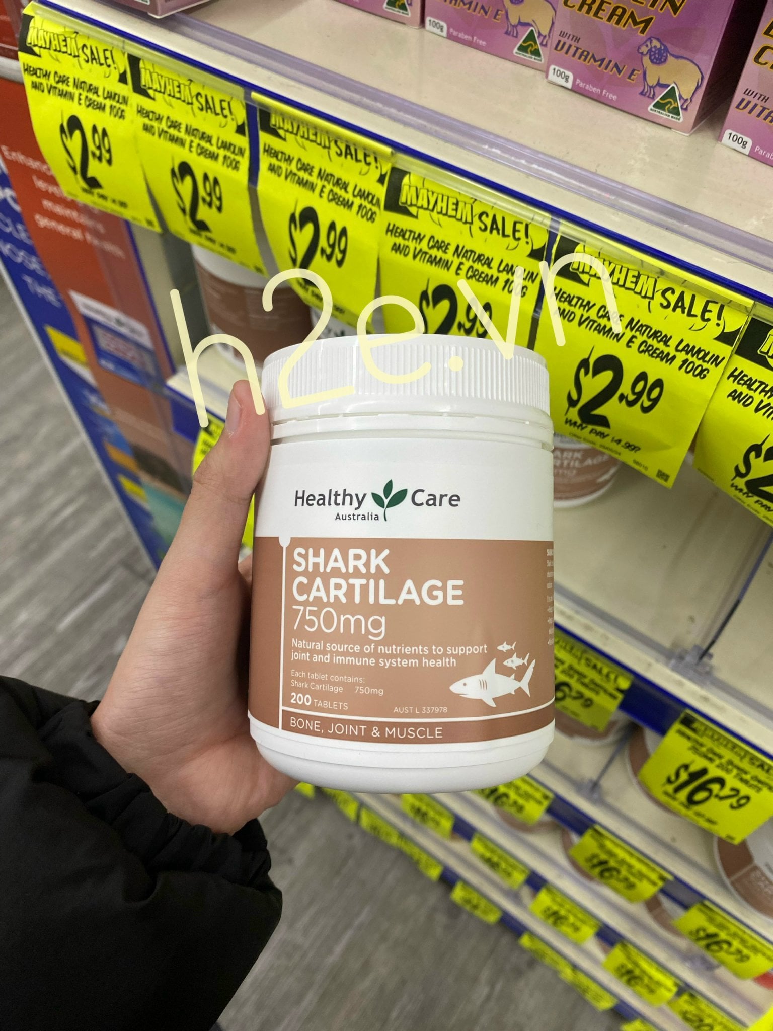 Healthy Care Shark Cartilage 750mg - Viên Uống Sụn Vi Cá Mập Lọ 200 Viên - Image 4