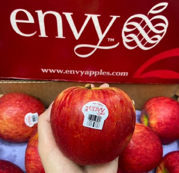 Táo Envy New Zealand 35 HG thùng 10kg