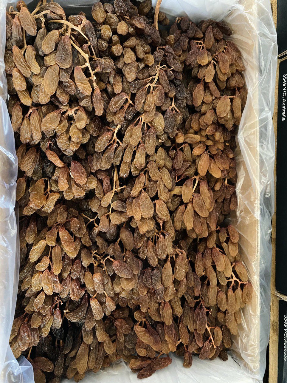 NHO KHÔ NGUYÊN CÀNH THOMPSON HỘP 1KG - Image 2