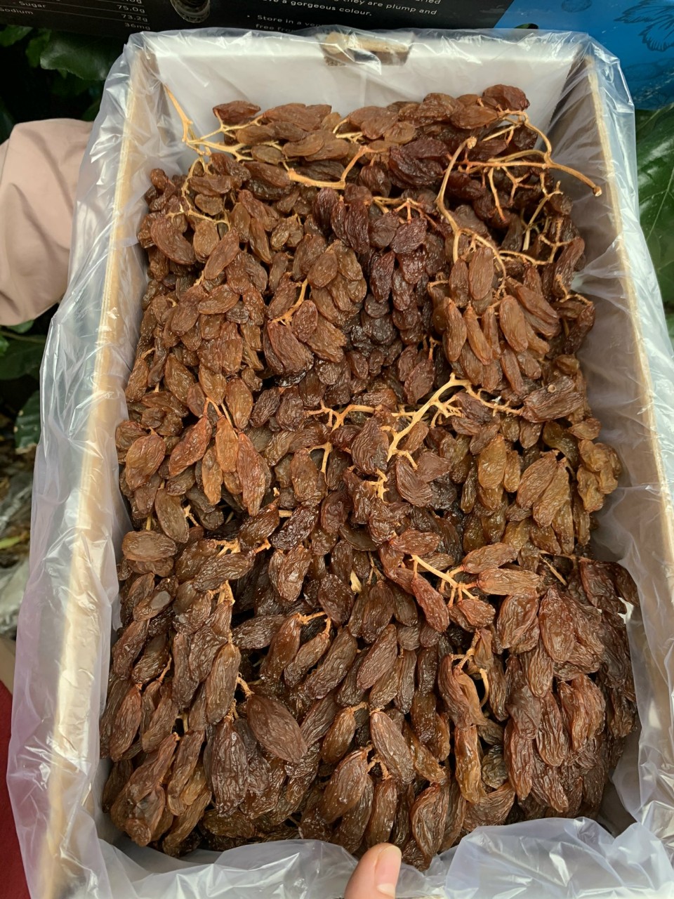 Nho Khô Nguyên Cành Thompson Thùng Xanh 4kg - Image 2